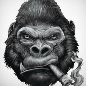 Meet your Posher, Cecil